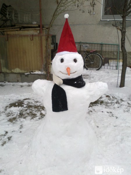 Gödön az idei első hóember:)