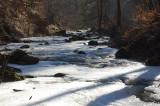 Cuha-patak, Bakony