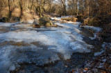 Cuha-patak, Bakony