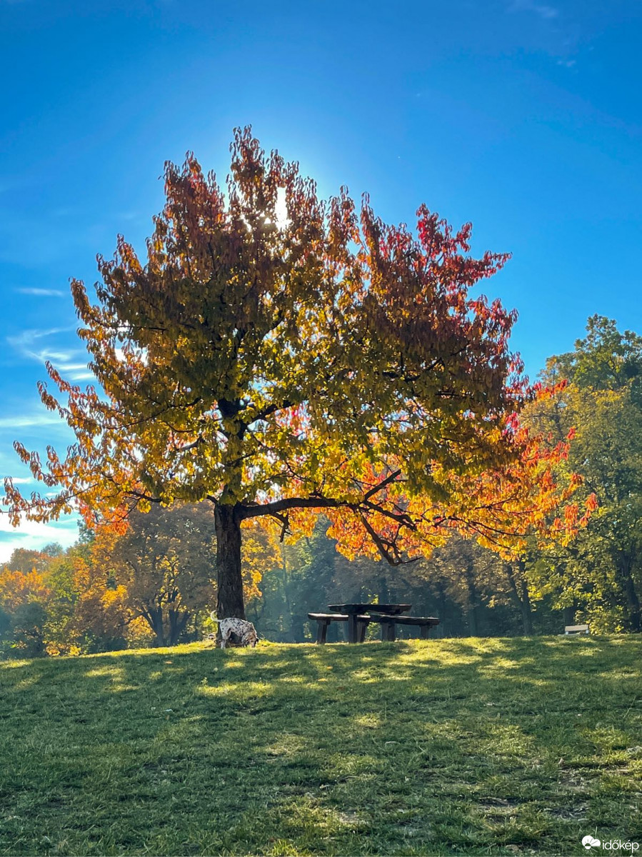 Budapest XI.ker - Õrmező