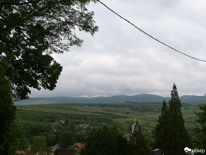 Sály