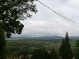 Sály