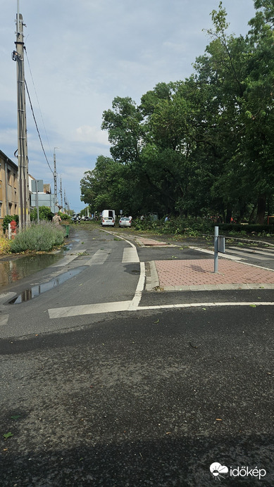 Hódmezővásárhely