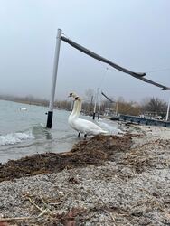 Balatonalmádi