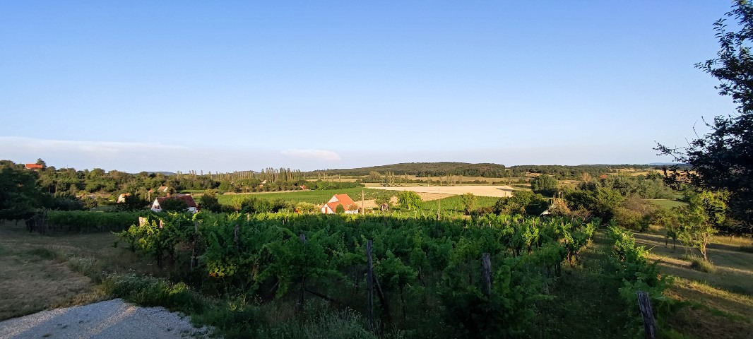 Pécsely