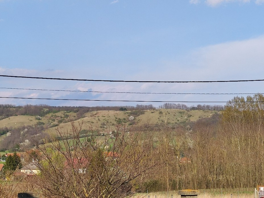 Tényő