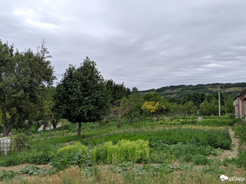 Tényő