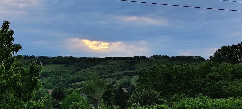Tényő