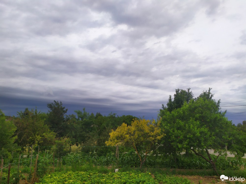 Tényő