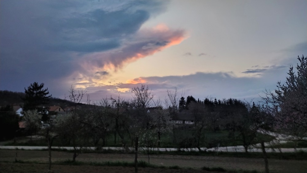 Tényő