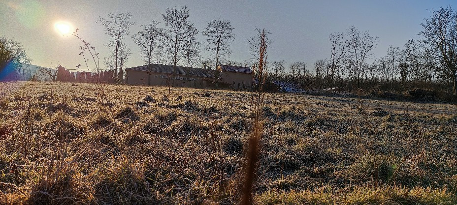 Tényő