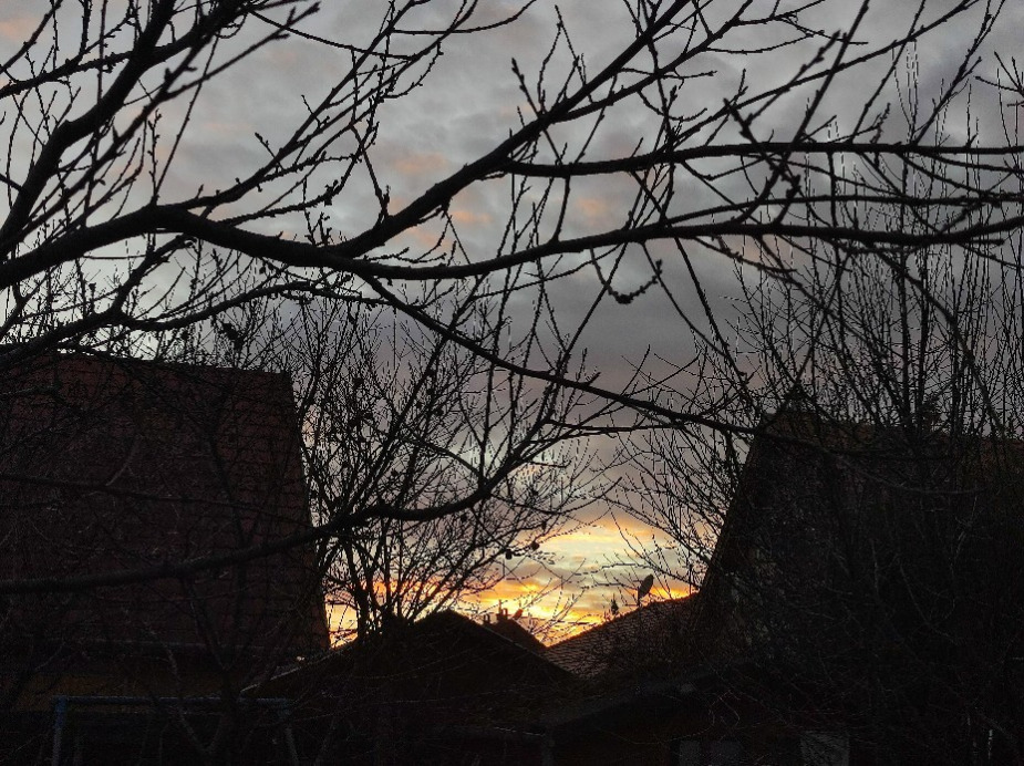 Halásztelek