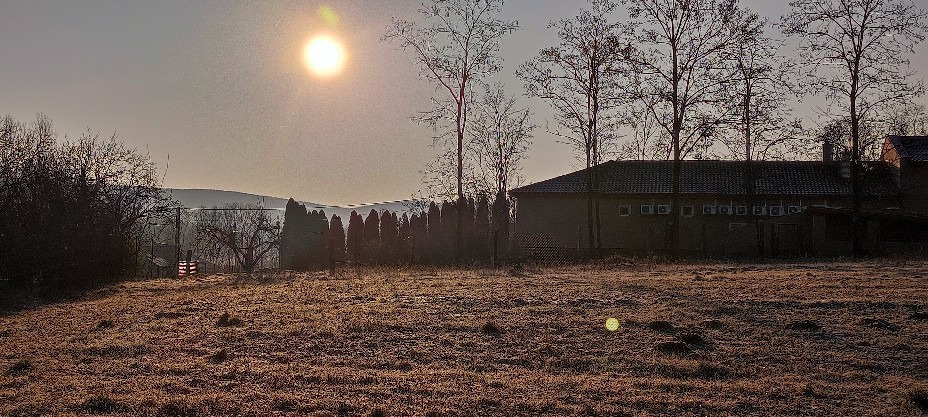 Tényő