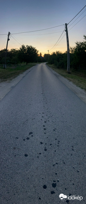 Tényő