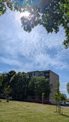 Napozó