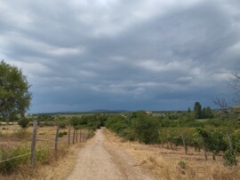 Balatonfüred