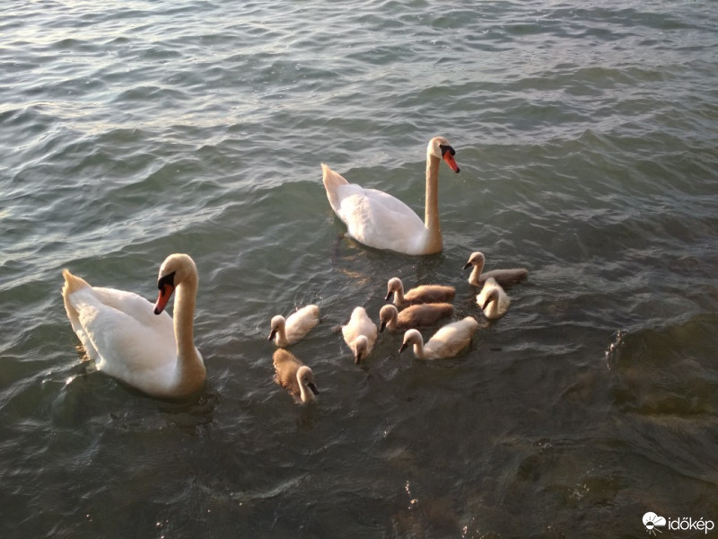 Balatonvilágos