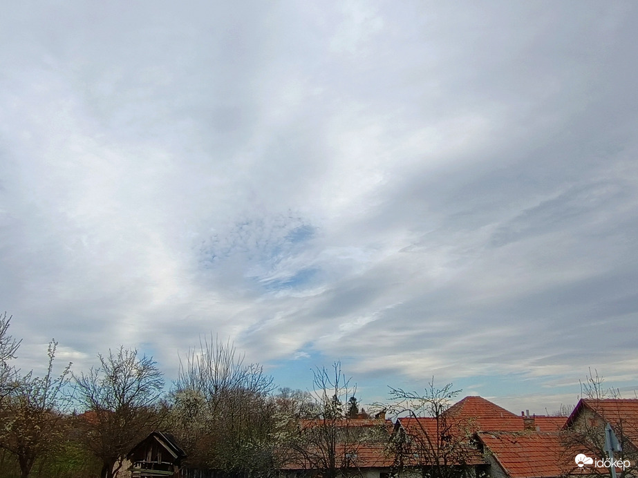 Vatta