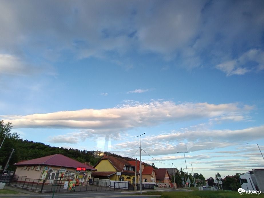 Sülysáp