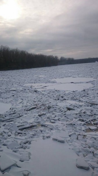 A Tisza Záhonynál, 2017.02.08 