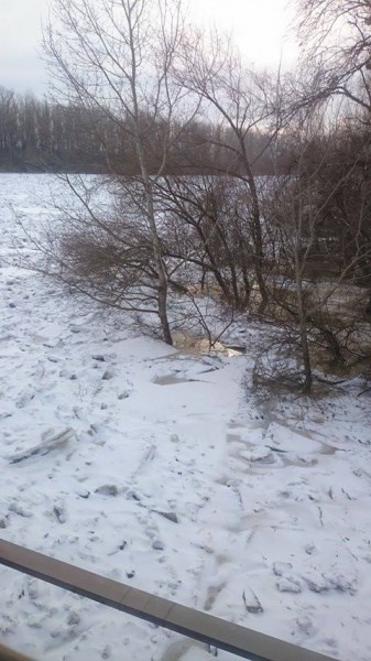 A Tisza Záhonynál, 2017.02.08