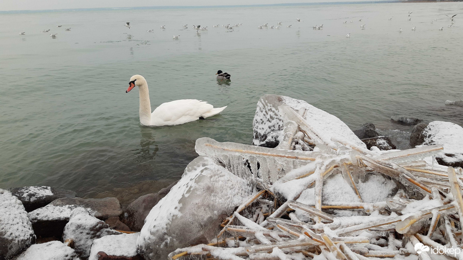 Jeges Balaton