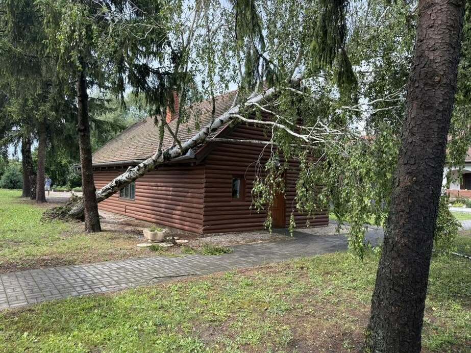 illusztráció