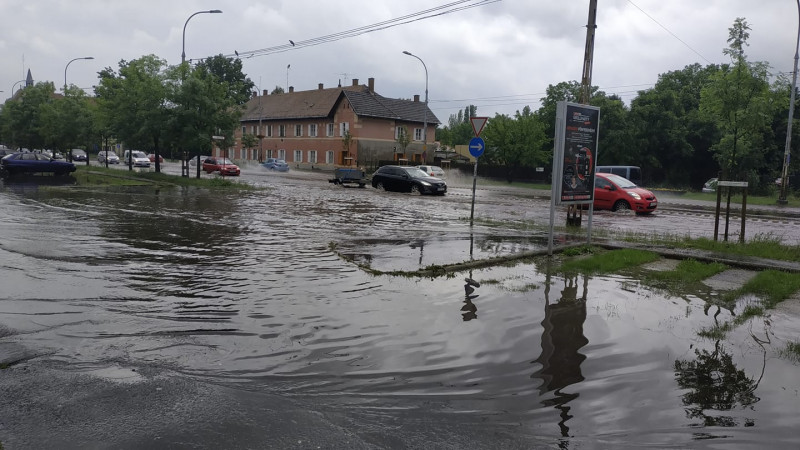 Bácsi András fotója Kispestről