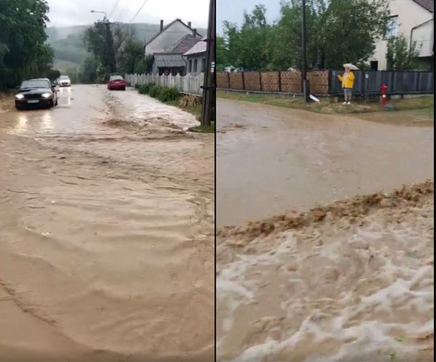 Részlet Manda Gábor videójából