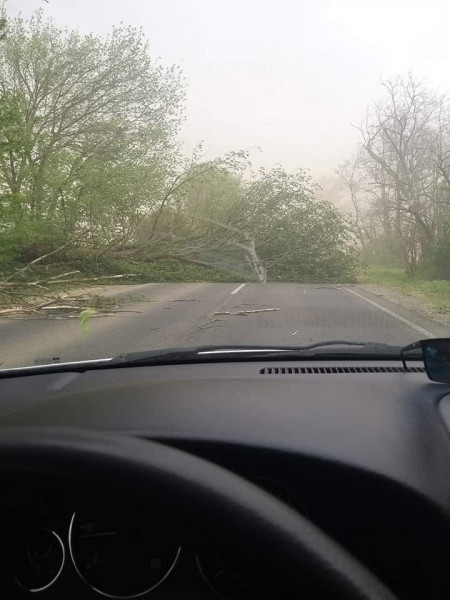 Farkas Győzike fotója a 41-es főútról