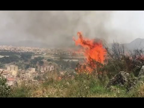 Bozóttűz Palermo közelében (Forrás: Pupia Crime /Youtube) Pumpia Cr