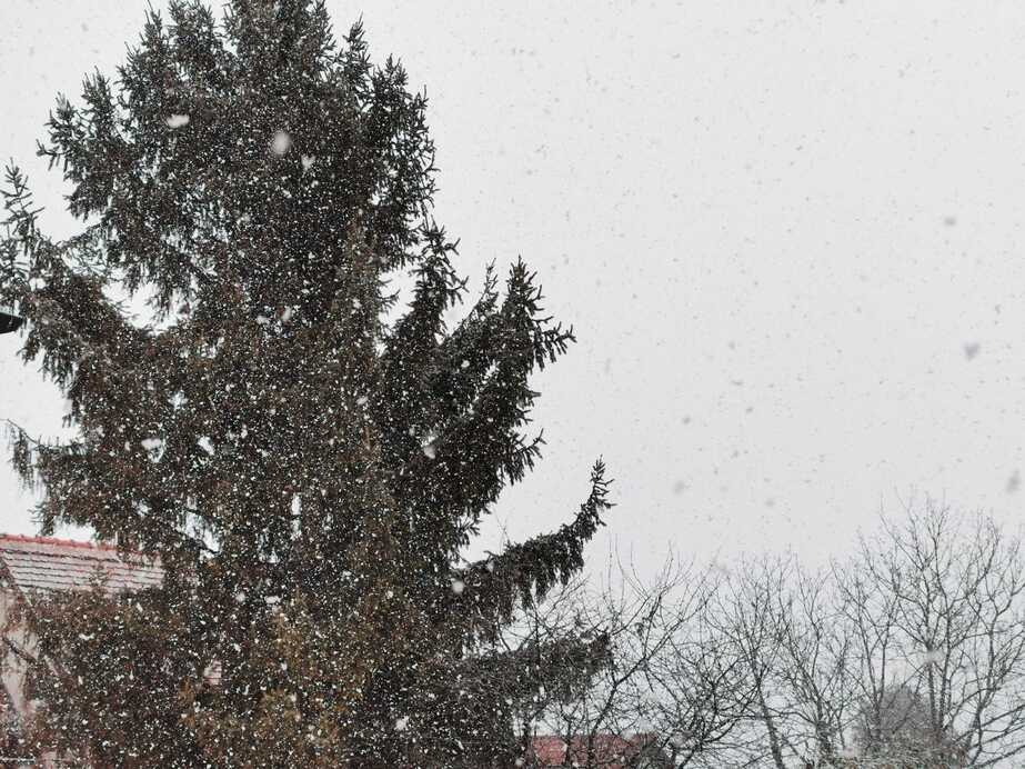 Óbuda