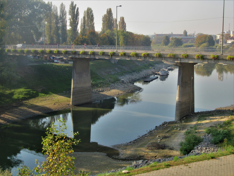 Baja, Sugovica - 2019.10.24.