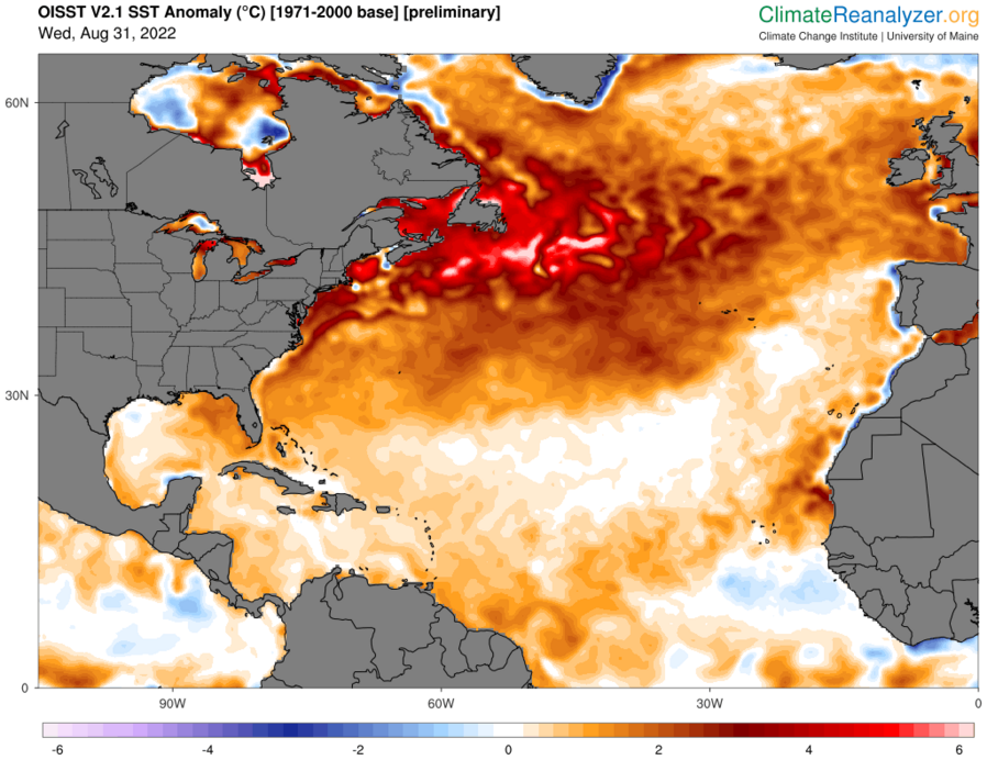 Forrás: Climatereanalyzer.org