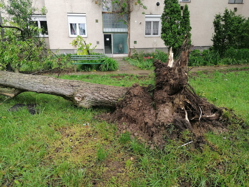 Tornádó károk Orosházán (Szeli László fotója)