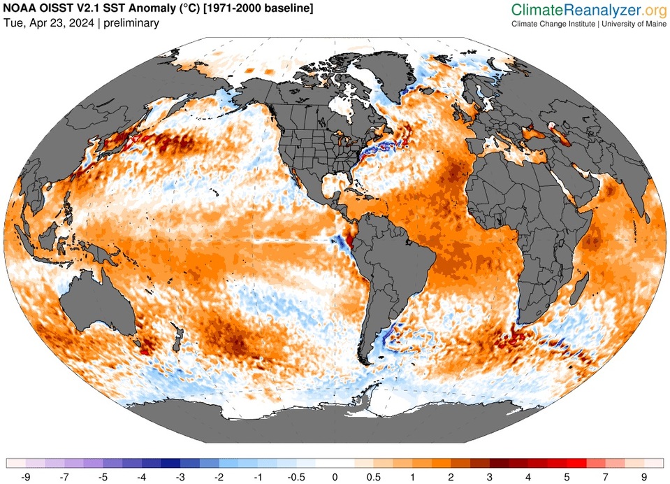 Ábra: Climatereanalyzer.org