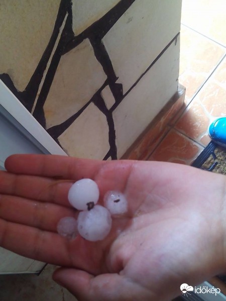 Danyi Zsanett fotója