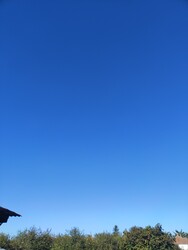 Porcsalma