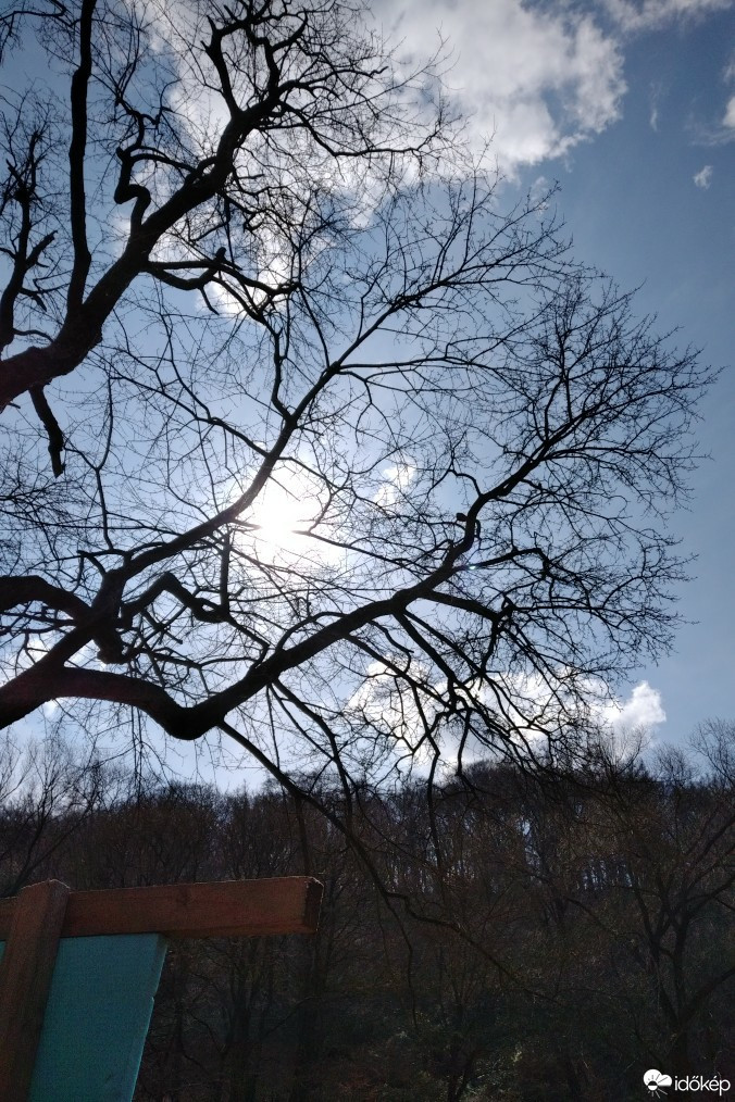 Kravany nad Dunajom