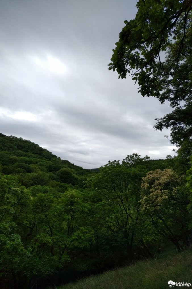 Kravany nad Dunajom
