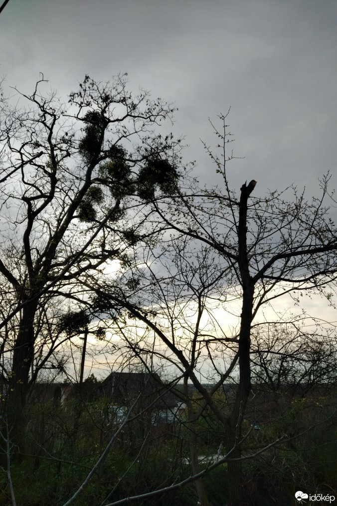 Kravany nad Dunajom