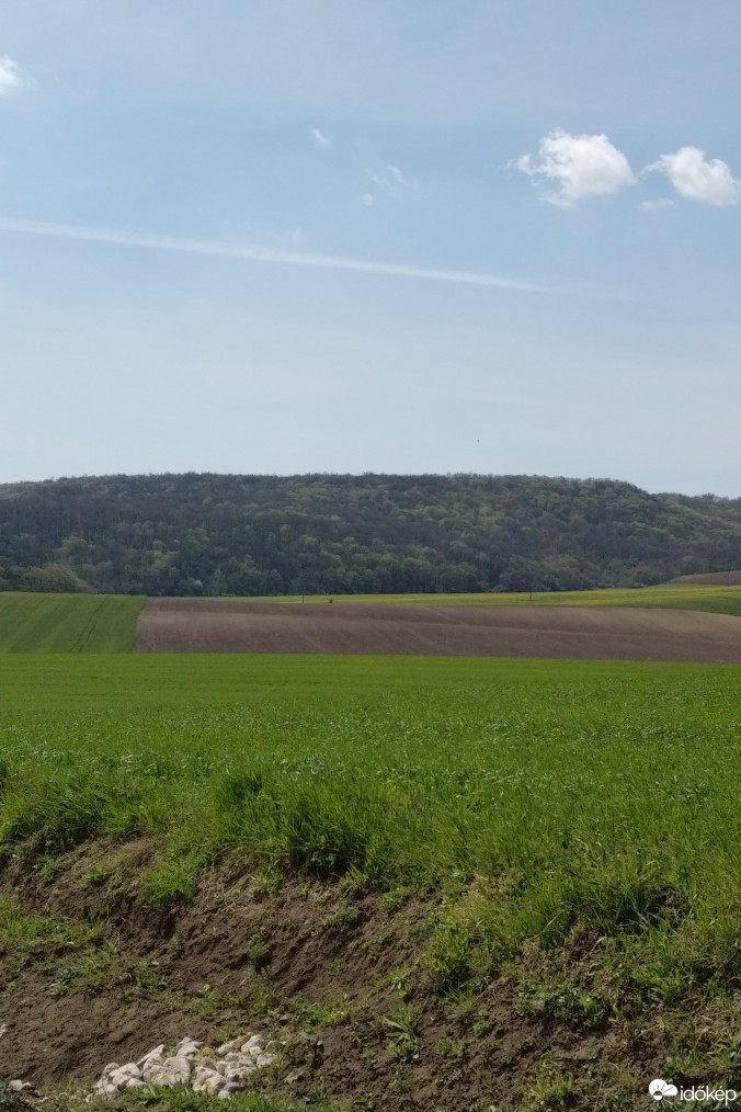 Kravany nad Dunajom