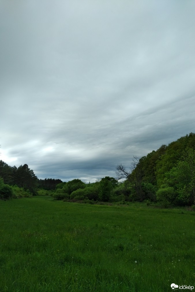 Kravany nad Dunajom