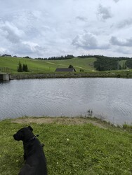 Zdiar - Strednica