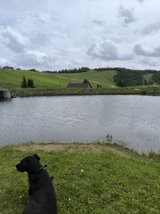 Zdiar - Strednica