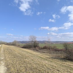 Naszály