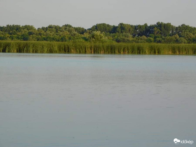 Tisza tó