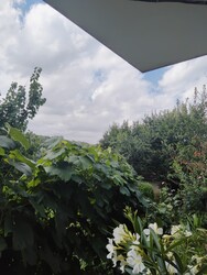 Mecseknádasd