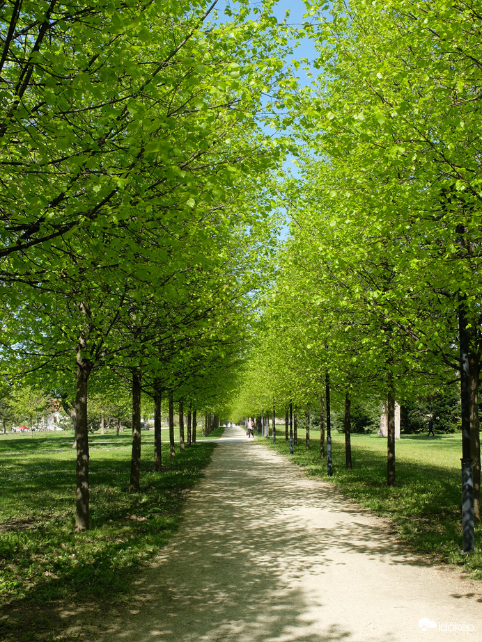 Gödöllő kastélypark