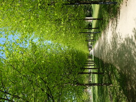 Gödöllő kastélypark